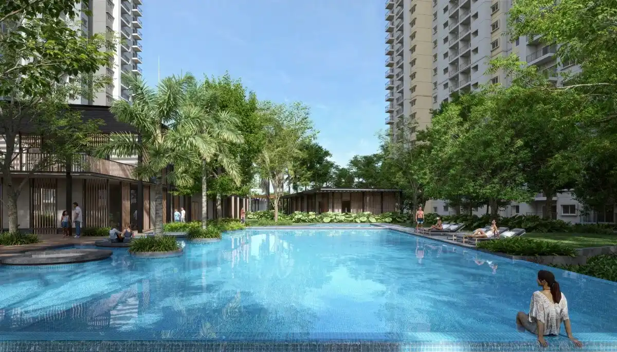 alembic cloud forest swimming pool