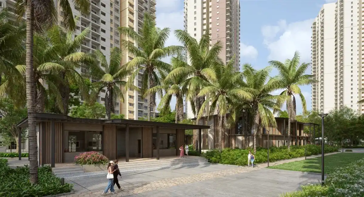 alembic cloud forest pathway